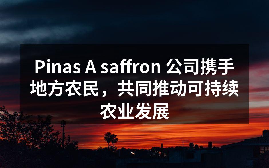 Pinas A saffron 公司携手地方农民，共同推动可持续农业发展